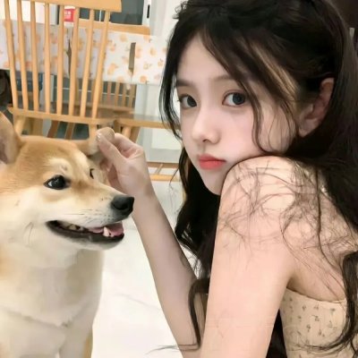 美国最后的处女海报